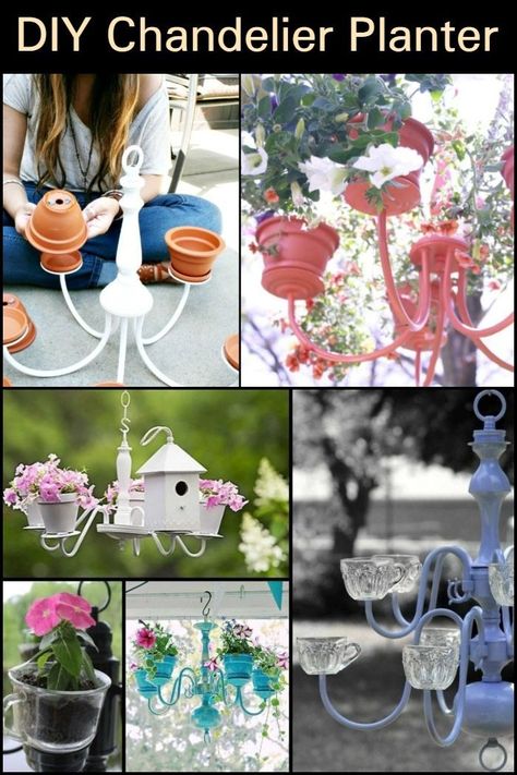 Looking for a beautiful way to hang your plants? An old chandelier might come in handy! Fun Garden Projects, Chandelier Planter, Old Chandelier, Terra Cotta Clay Pots, Planter Project, Deco Champetre, Clay Pot Crafts, Diy Chandelier, Unique Gardens