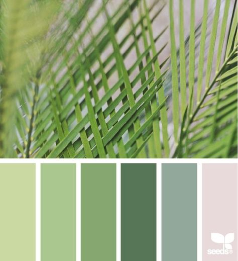 Color Nature Design Seeds Color Palette, Seeds Color Palette, Seeds Color, Green Color Palette, Color Palette Challenge, Nature Green, Design Seeds, Color Stories, Colour Schemes