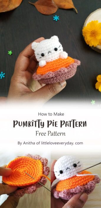 Best Pumpkin Pie Free Amigurumi Pattern Ideas - Carolinamontoni.com The Best Pumpkin Pie, Crochet Fall Decor, Ghosts And Pumpkins, Crochet Ghost, Best Pumpkin Pie, Fall Crochet Patterns, Halloween Crochet Patterns, Crochet Design Pattern, Beginner Crochet Projects