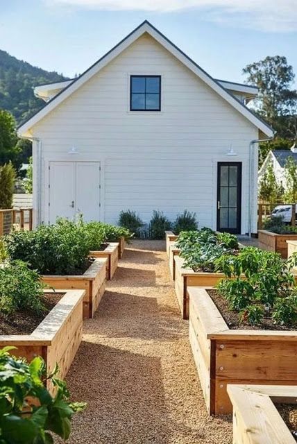 Homegrown Vegetables, Raised Garden Bed Plans, Vegetables Garden, Garden Boxes Raised, Building Raised Garden Beds, Backyard Garden Layout, Simple Garden, Building A Raised Garden, Garden Planter Boxes