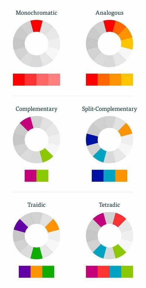 Colour Theory Photography, Color Theory Notes, Color Theory Graphic Design, Color Theory Examples, Complimentary Colours Art, Leather Coloring Tutorial, Colour Schemes Art, Colour Theory Art, Harmony Color Palette