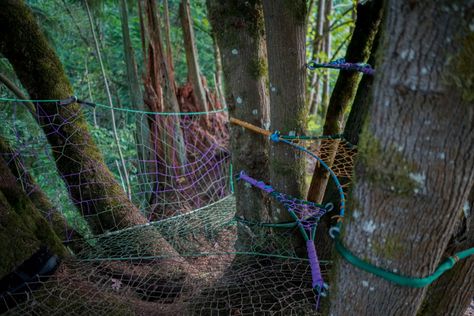 Tree Weaving, Tree Weave, Rope Tree House, Diy Tree Net, Tree Net, Treehouse Rope Railing, Tree Rope Climb, Treehouse Climbing Net, Custom Treehouse