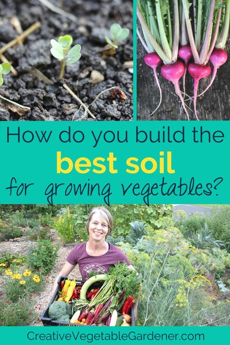 Soil health is one of the most important factors in the success of your garden. But, what is the best soil for a vegetable garden? Best Soil For Vegetable Garden, Soil For Vegetable Garden, Garden Soil Mix, Vegetable Garden Soil, Vegetable Planters, Vegetable Garden Tips, Vegetable Garden Raised Beds, Small Vegetable Gardens, Container Vegetables