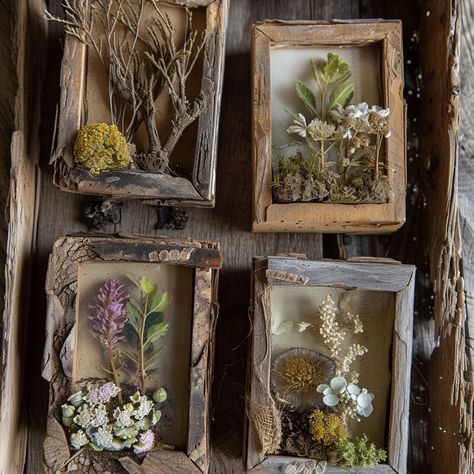 Handcrafted Plant Specimen Frames - Etsy Art With Driftwood, Garden Inspiration Rustic, Crafts With Sticks And Twigs, How To Display Rocks, Box Frames Ideas, Diy Nature Decor, Naturalist Decor, Nature Frame, Dried Flowers Crafts