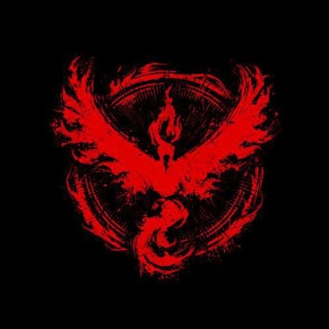 Phoenix Mythology, Team Valor, Aquarius Tattoo, Cool Symbols, Anime Picture Hd, Cool Pokemon Wallpapers, Best Nature Wallpapers, Pokemon Tattoo, Phoenix Art