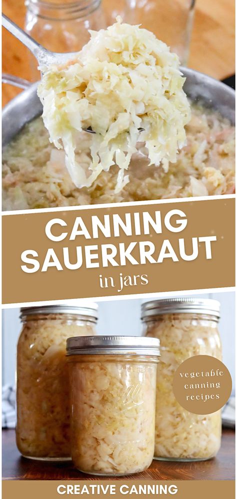 Start canning sauerkraut in jars, and preserve the authentic flavors of fermented foods. This vegetable canning recipe for canning sauerkraut walks you through every step of canning homemade sauerkraut, from fermentation to water bath canning, ensuring a tangy treat all year round. Canning Sauerkraut Without Fermentation, Canning Sauerkraut Recipes Mason Jars, Saurkraut Recipes Canning, How To Can Sauerkraut, Homemade Sauerkraut In A Crock, Refrigerator Sauerkraut, Canning Kraut In Jars, Sourkrout Recipes Canning, Canning Sauerkraut Recipes