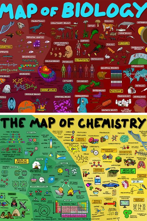 Science Information, Studying For Physics, Physics And Chemistry, Biology Chemistry Physics, Infographic Science, Map Of Mathematics, Science Pictures, The Map Of Physics, Science Animation