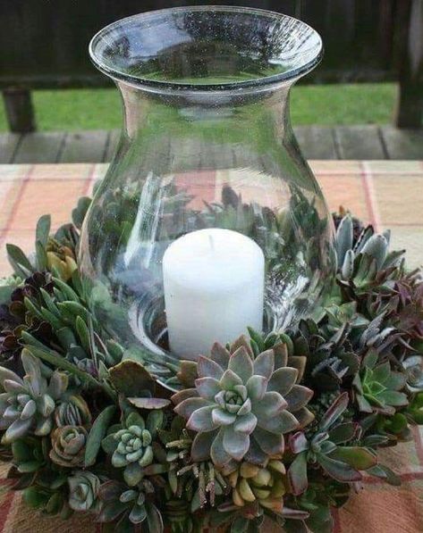 Faux Fall Floral Arrangements Outdoor, Succulent Garden Design, Succulent Centerpieces, Succulent Garden Diy, Succulent Wreath, Succulents Decor, Succulent Gardening, Succulent Wedding, Succulents In Containers