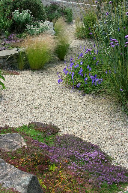 Ideas to soften the edges of my gravel garden.  Note grass planted out into the gravel. Ormanlık Alan, Decomposed Granite, Drought Tolerant Garden, Drought Tolerant Landscape, Gravel Path, Dry Garden, Gravel Garden, Coastal Gardens, Mediterranean Garden