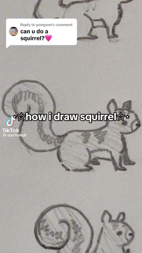 Draw A Squirrel, Drawings Of Animals, Cute Sketches, Animal Doodles, Creative Drawing Prompts, A Squirrel, Easy Doodle Art, Art Tools Drawing, Sketches Tutorial