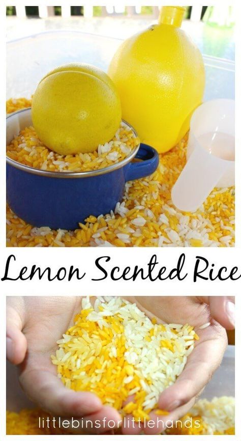 Lemon Scented Rice Sensory Play Summer Activity Olfactory Processing Smelly Sensory Bin, Eyfs Sensory Activities, 5 Senses Sensory Bin, Summer Sensory Bin, Rice Sensory Bin, Summer Sensory, Preschool Sensory, Sensory Tubs, Orange Peels