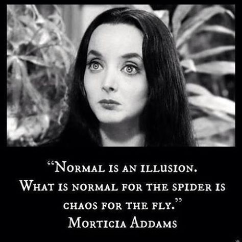 Witchy Quotes, Bingo Quotes, Head Games, Adams Family, Historical Quotes, Addams Family, Quotable Quotes, A Quote, Wise Quotes