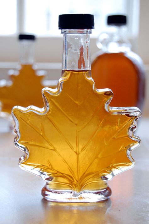 So you want to learn how to make maple syrup. Fun! It isn't difficult to make but you will have questions and hopefully this guide will answer them for you. Everything from what kind of trees you can tap to how to boil it down. Congratulations! You. Are. Going. To. Make. MAPLE SYRUP! Maple Tapping, Tapping Maple Trees, Homemade Maple Syrup, Maple Syrup Bottles, Maple Syrup Recipes, Homemade Syrup, Sugar Shack, Sugar Maple, Syrup Recipe