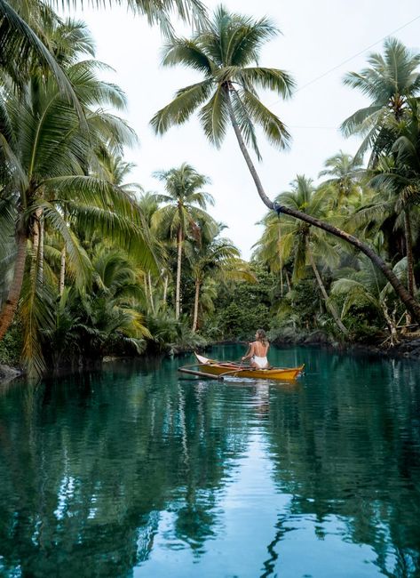 13 Incredible Things to Do on Siargao Island in the Philippines Siargao Philippines, Philippines Travel Guide, Siargao Island, Siargao, Tree Swing, Philippines Travel, Palawan, Travel Inspo, Island Life