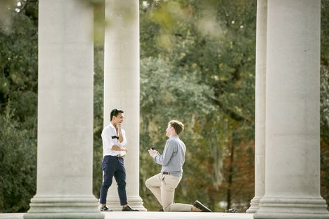 Romantic Proposals, New Orleans City Park, Nola Wedding, New Orleans City, Proposal Photography, Proposal Photos, Romantic Proposal, European Architecture, New O