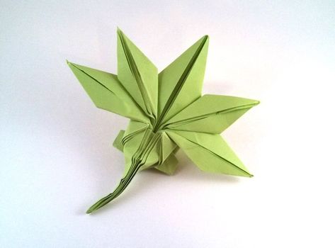 Origami Trees and Plants - Page 2 of 3 | Gilad's Origami Page Origami Maple Leaf, Origami Plants, Origami Tree, Maple Seed, Origami Leaves, Origami Book, Origami Projects, Origami Diagrams, Japanese Origami