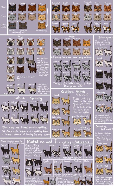 Cat Color Chart, Cat Drawing Tutorial, Cats Art Drawing, Cat Anatomy, Warrior Cats Fan Art, Warrior Cat Drawings, Warrior Cat Oc, Cat Reference, Warrior Cats Art