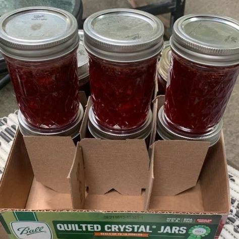 Strawberry Fig Preserves, Fig Preserves Recipe, Strawberry Gelatin, Pineapple Jello, Pear Preserves, Fig Preserves, Strawberry Freezer Jam, Freezer Jam Recipes, Strawberry Rhubarb Jam