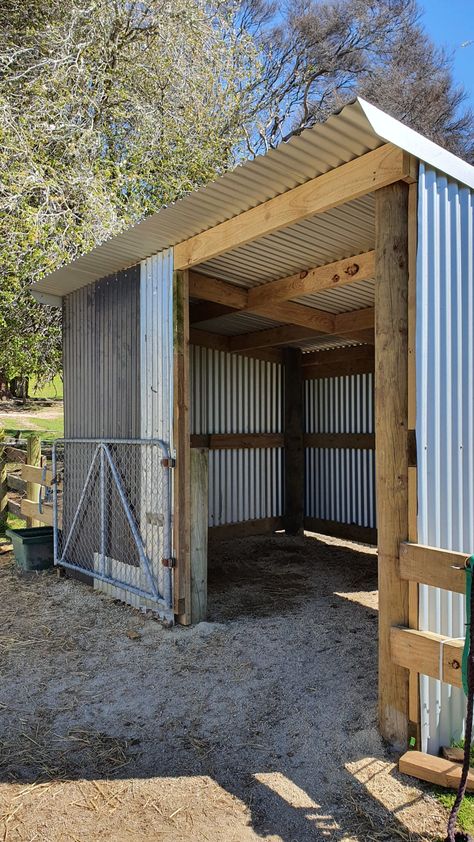 Shelter For Donkeys, Temporary Horse Shelter, Diy Horse Run In Shelter, Donkey Pen Ideas, Cow Shelter Ideas, Sheep Barn Ideas, Horse Pasture Shelter, Horse Shelter Ideas Cheap, Horse Stalls Cheap