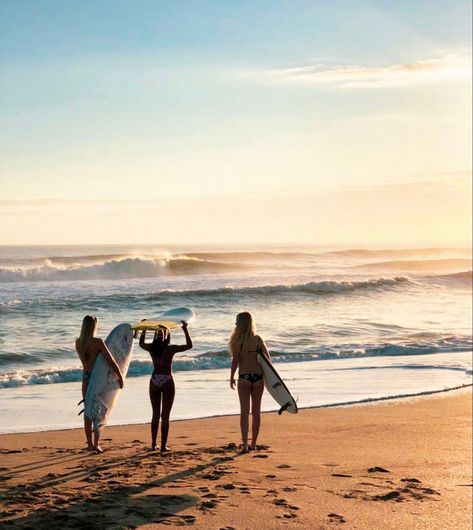 Group Project Aesthetic, Beach Family Aesthetic, Surfing Aesthetic Girl, Surfing Aesthetic, Surf Aesthetic, Surf Lifestyle, Hawaii Life, Surf Trip, Summer Plans