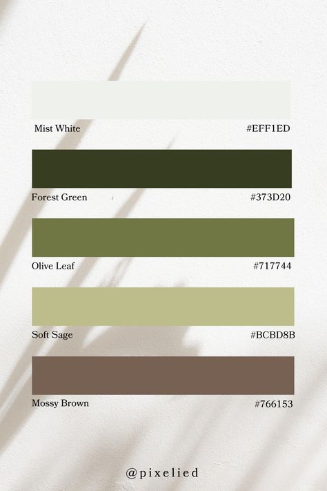 Green Earth Tone Color Palette blends Mist White and Forest Green with the muted tones of Olive Leaf, Soft Sage, and Mossy Brown. This palette evokes a serene and balanced feel, perfect for designs inspired by nature. Forest Color Palette Earth Tones, Green Earth Tone, Color Scheme Generator, Earth Colour Palette, Tone Color Palette, Earth Tone Color Palette, Color Generator, Flip Image, Earth Tone Color