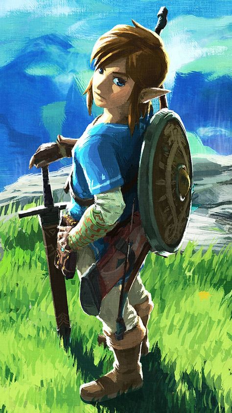 Link Botw, Hyrule Castle, Hyrule Warriors, Link Art, Zelda Breath Of The Wild, Link Zelda, Wind Waker, Zelda Art, Legend Of Zelda Breath