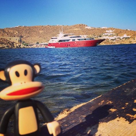 Julius and @daskruegs catching some rays in Mykanos! #ItsaPFWorld Paul Frank Monkey, 2013 Swag Era, Rawr Xd, Paul Frank, Silly Pictures, Lps, Cute Icons, Not Mine, Pretty Pictures