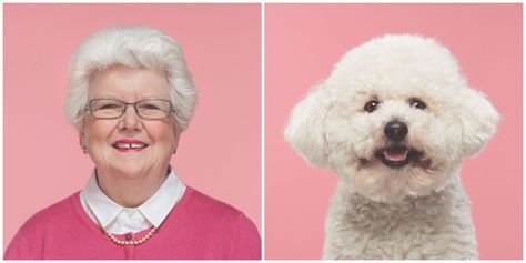 10 photos of dogs who look exactly like their owners Getting A Puppy, Capture Photo, Border Terrier, Bichon Frise, Dog Show, Cat Care, Animals Images, Dog Portraits, Side By Side