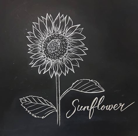 Daisy Chalkboard Art, Sun Chalkboard Art, Sunflower Chalk Art, Sunflower Chalkboard Art, Chalk Sunflower, Chalkboard Sunflower, Summer Chalkboard Art, Summer Chalkboard, Chalkboard Doodles