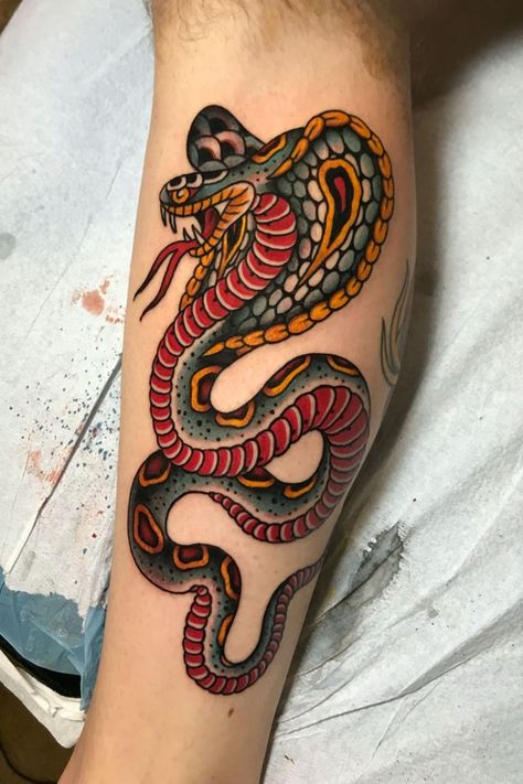 old school tattoo Traditional Cobra Tattoo, Crocodile Tattoo Design, Snake Tattoo Traditional, American Traditional Snake, Traditional Snake, Crocodile Tattoo, Traditional Snake Tattoo, Tato Tradisional, Cobra Tattoo