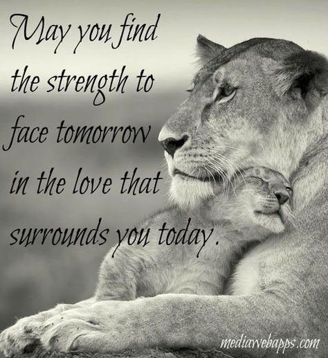 May You Find The Strength quotes quote inspirational quotes about life quotes to live by quotes with images quotes about strength Lioness Quotes, Hospital Signage, Spiritual Tips, Tattoo Quotes About Strength, Loving Thoughts, Tattoo Quotes About Life, Lion Quotes, Oldest Daughter, Strong Mom