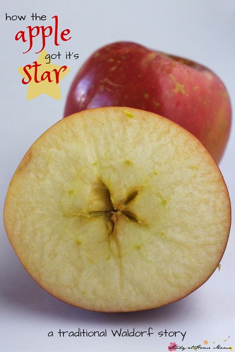 A twist on the traditional Waldorf Apple Story: a fairy story for children about how the apple got its star, which children can then discover for themselves Waldorf Education Homeschooling, Waldorf Lessons, Waldorf Preschool, Waldorf Curriculum, Waldorf Kindergarten, Waldorf Teaching, Apple Lessons, Apple Hat, Apple Preschool