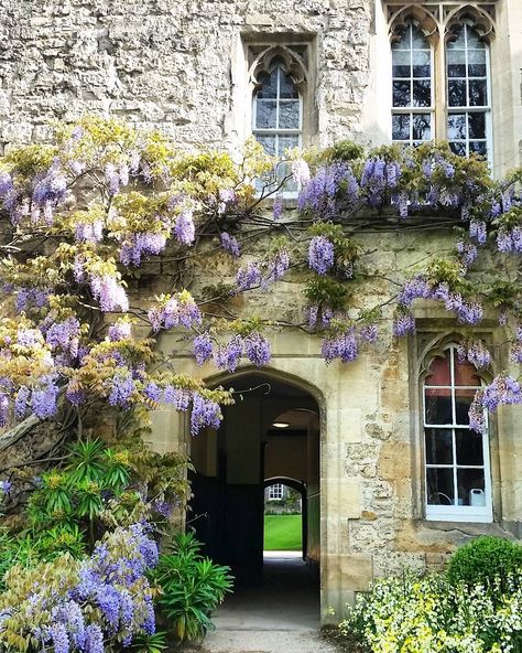 Annie Hongping Nie on Instagram: “@oxford_uni @oxford_uk @oxfordlens #oxford #university #uk #gallery_of_all #best_streetview #tv_travel #bestoftheday #best_photogram…” Oxford Uk, Oxford University, Architecture Project, Mood Board, Oxford, University, Cottage, Writing, House Styles