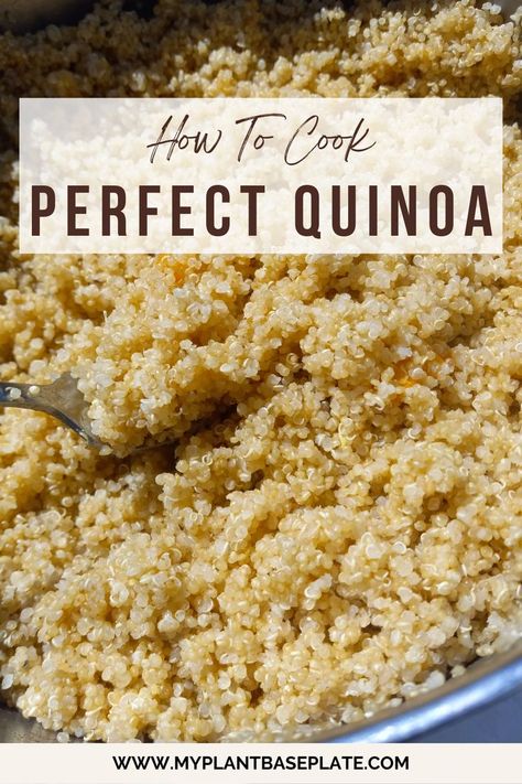 Learn how to cook quinoa easily from the comfort of your stovetop. Quinoa makes the perfect filling nutritious grain for lunch or meal prep idea. How To Cook Millet, Plant Protein Sources, Ancient Grains Recipes, What Is Quinoa, Fluffy Quinoa, Perfect Quinoa, Cook Quinoa, Toasted Quinoa, White Quinoa