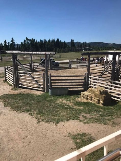 Round Pens For Horses, Horse Pens, Horse Farm Ideas, Horse Barn Ideas Stables, Barn Stalls, Horse Barn Designs, Horse Arena, Dream Horse Barns, Horse Barn Plans