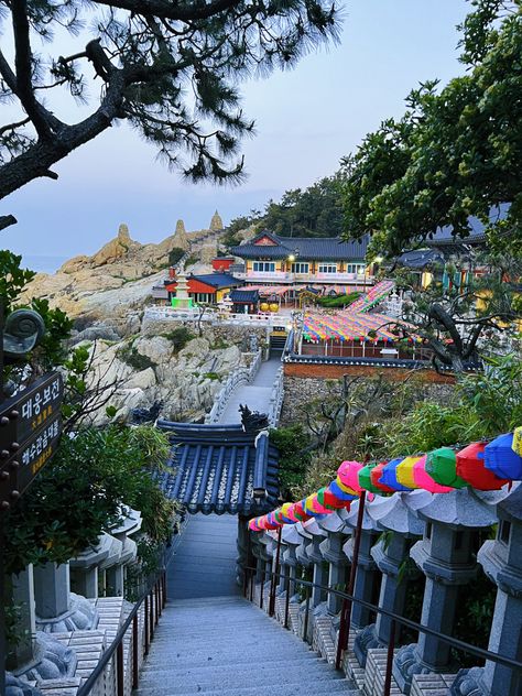 #Haedong Yonggungsa Temple #Haedong Yonggungsa #해동 용궁사 #photography #aesthetically pleasing #aestheitcs #beautiful photos #photoart #photooftheday #korea travel #south korea #korea #instadaily #busan #busan city #busan temple #busan travel #busan south korea # 부산 #부산시 #happy buddha #Buddha #Buddha's Birthday #lantern #korean temple #temple Haedong Yonggungsa Temple, Busan Travel, Korean Temple, Busan South Korea, Happy Buddha, Korea Travel, Travel South, Busan, Aesthetically Pleasing