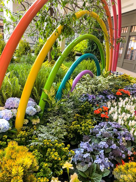 Rainbow Flower Arch, Rainbow Garden Ideas, Sensory Park, Rainbow Fence, Rainbow Flower Garden, Nursery Cafe, Bridge Garden, Student Exhibition, Rainbow Landscape