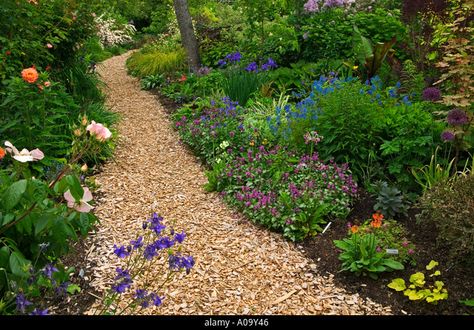 Wood chip path at Northwest Garden Nursery Eugene Oregon Wood Chips Landscaping Ideas, Wood Chip Path, Wood Chips Landscaping, Northwest Garden, Outdoor Steps, Garden Nursery, Eugene Oregon, Wood Chips, House Landscape