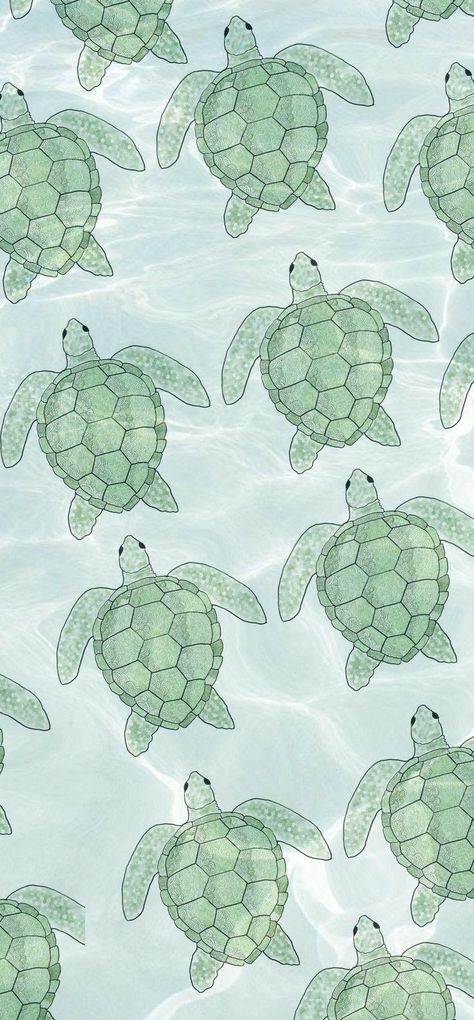 Tattoo Sea Turtle, Wallpaper Abstract Pattern, Aesthetic Turtle, Turtle Aesthetic, Turtle Eating, Sea Turtle Images, Turtle Eggs, Sea Turtle Wallpaper, Turtle Background