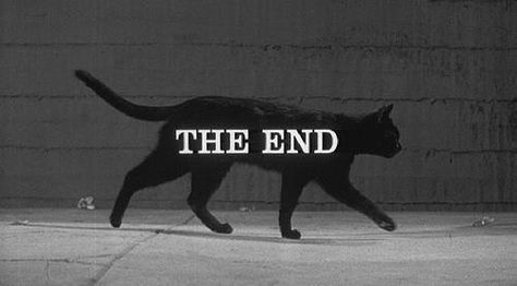 the end Catty Noir, Black Kitty, Septième Art, A Black Cat, Arte Inspo, Tv Movie, The Villain, Catwoman, Gotham