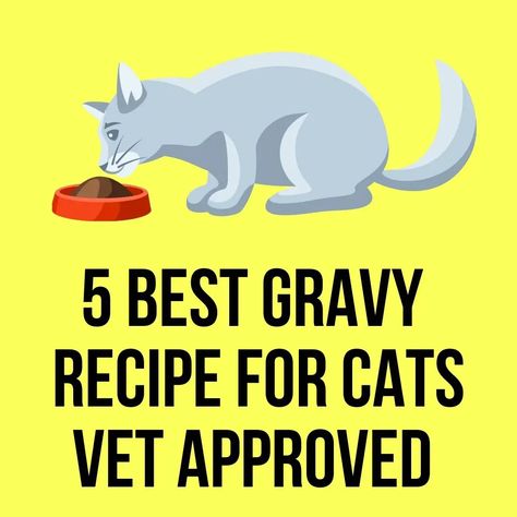 Can you make gravy for cats? Yes, you can make gravy for cats. We love our pets and love to make food for them. But, making food is a time-consuming process. Diy Cat Treats, Diy Cat Food, Senior Cat Food, Healthy Cat Food, Homemade Cat Food, Cat Vet, Diy Cat Toys, Making Food, Treats Recipes