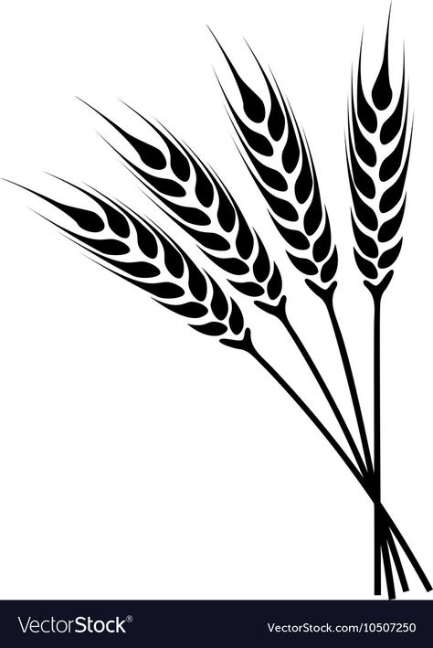 Wheat Tattoo, Wheat Vector, Wheat Stalk, Wheat Design, Silhouette Cameo Tutorials, Carved Wood Signs, Pottery Painting Designs, Laser Art, Image Svg