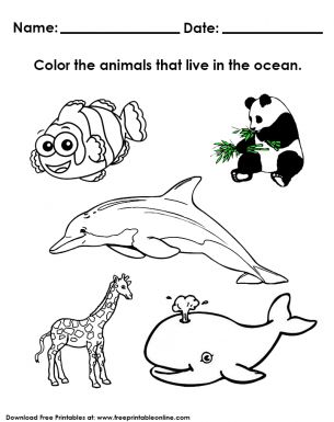 Coloring Animals Live in Water Worksheet Animals That Live In Water Worksheets, Animals That Live In Water, Water Animals Worksheet, Water Animals Worksheets For Kids, Water Animals Preschool, Fox Craft Preschool, January Worksheets, Animals Live In Water, Water Worksheet