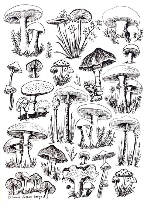 Mushroom Drawings, Forest Drawing, Mushroom Tattoos, Mushroom Drawing, Mushroom Design, Plant Drawing, Arte Sketchbook, Mushroom Art, E Card