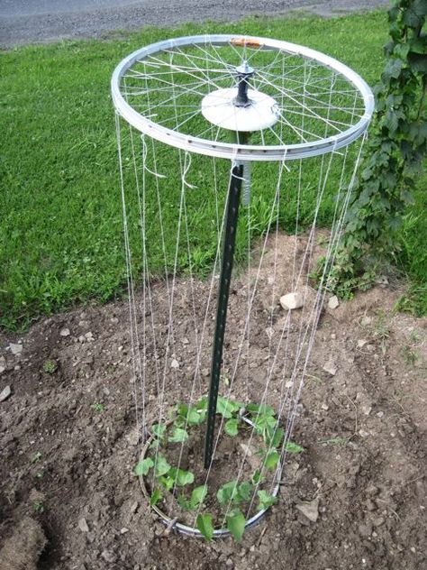 Plantarea Legumelor, Diy Garden Trellis, Backyard Greenhouse, Veg Garden, Home Vegetable Garden, Garden Yard Ideas, Vegetable Garden Design, Diy Garden Projects, Garden Art Diy