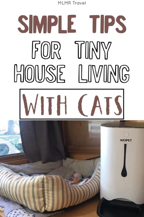 Simple tips for tiny house living with cats #tinyhouseliving #travelwithcats Living Spaces Sectional, Living Spaces Sofa, Tiny House Hacks, School Bus Tiny House, Apartment Pet, Living With Cats, Interior Living Room, Living Spaces Furniture, Hiding Spots