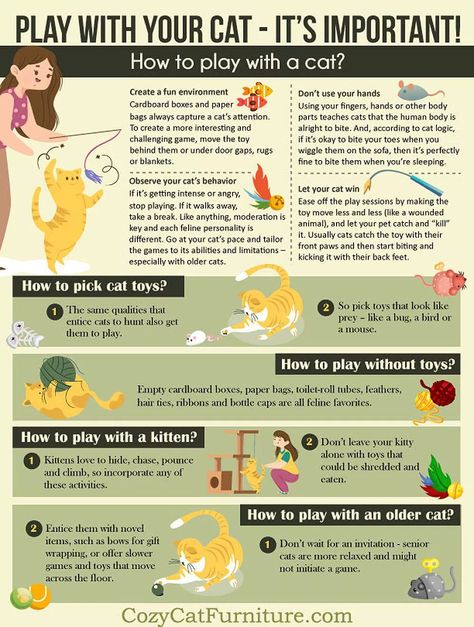 Play with your cat : Learn Why, How and When to play with the kitty Cat Psychology, Playing With Cat, Cat Knowledge, Creme Puff, Cat Tips, Cats Playing, Diy Cat Toys, Cat Obsession, Cat Hacks