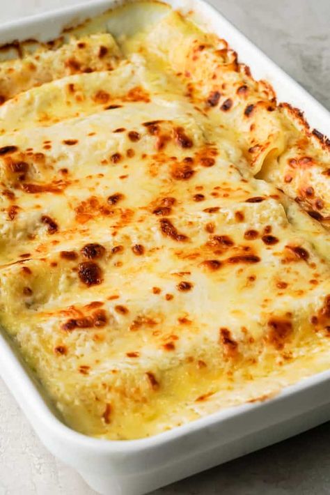 Stuffed Cannelloni Pasta White Sauce, Cannelloni Pasta Bake, Cannelloni Recipes Vegetarian, Cannoli Bolognese, Cannoli Pasta Cannelloni Recipes, Cheese Cannelloni Recipes, Shrimp Cannelloni Recipes, Stuffed Shells With Bechamel Sauce, Bechamel Pasta Recipes