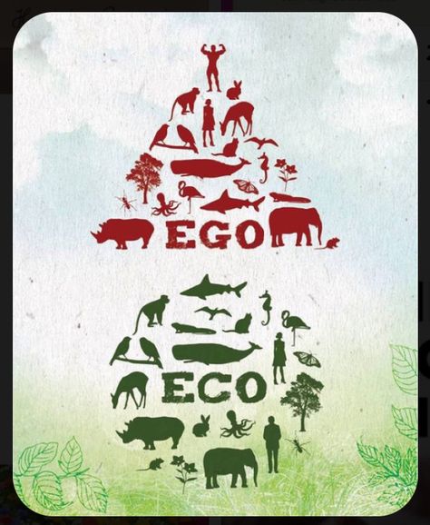 Eco Quotes, Che Guevara Art, Environmentally Friendly Living, Secret Websites, Eco Warrior, First Prize, Eco Living, Climate Action, Social Commerce