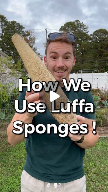 Philip Longo | Gardening & Homesteading Coach on Instagram: "READ BELOW! 👇🏼  How We use our Luffa Sponges!  We get so many questions on this…YES, we sell the seeds and sponges & They are available on Etsy. Follow our profile description!  . . . .  #growyourownfood #harvest #zone7b #zone8a #organicgardening #homestead #mygarden #homegrown #backyardgarden #growyourown #earthnailsandtails #luffa #luffasponge #luffasoap #loofah #loofahsoap #loofahsponge #luffaseeds #loofahseeds #luffaharvest #luffapeeling #loofahpeeling #loofahharvest" Luffa Companion Planting, Luffa Sponge Diy, How To Grow Loofah Plants, Growing Loofah From Seed, Loofah Trellis Ideas, Loofah Garden, Growing Loofahs, Growing Loofah, Luffa Plant